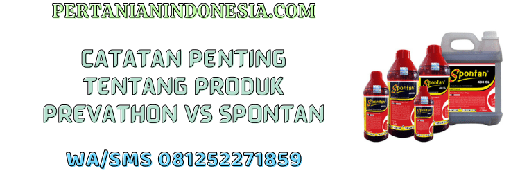 catatan,penting,pestisida jenis insektisida,racun serangga,pertanian indonesia